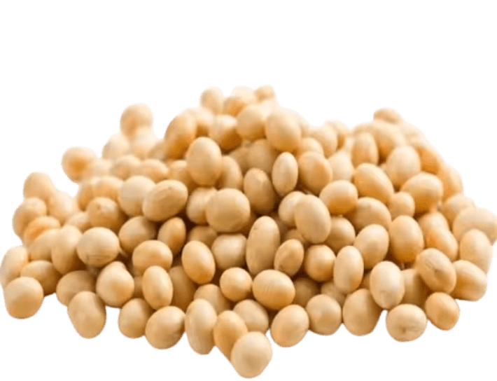Grain